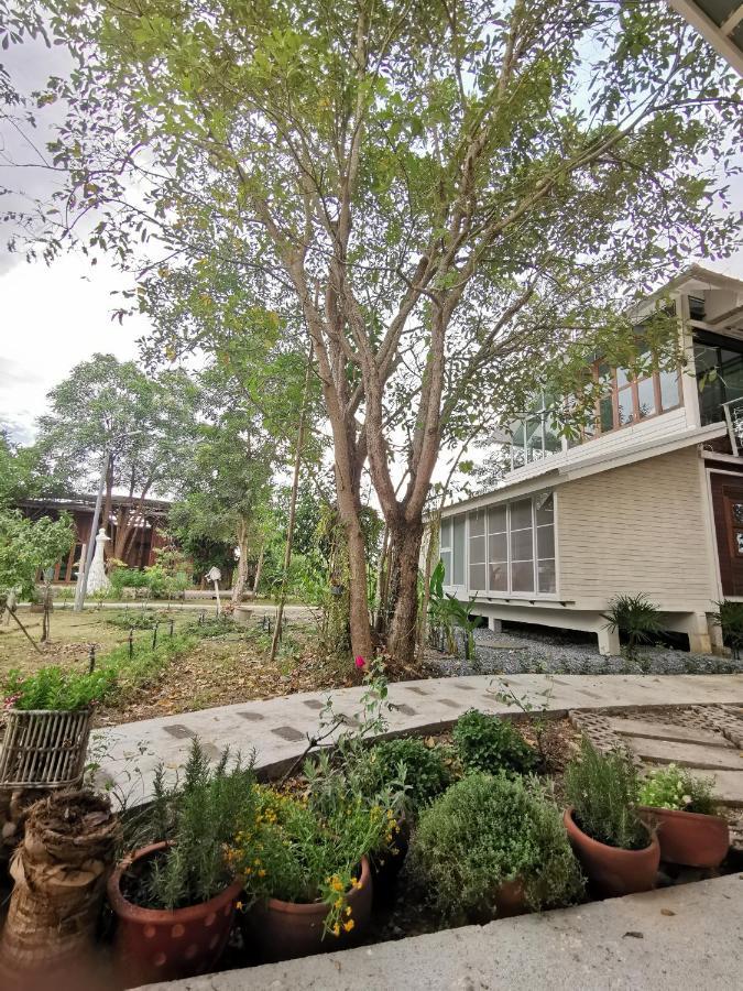 Baangaimuan Bed & Breakfast Lamphun Exterior photo