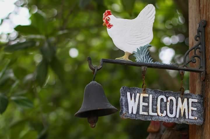 Baangaimuan Bed & Breakfast Lamphun Exterior photo